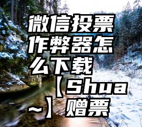 微信投票作弊器怎么下载   【Shua~】赠票