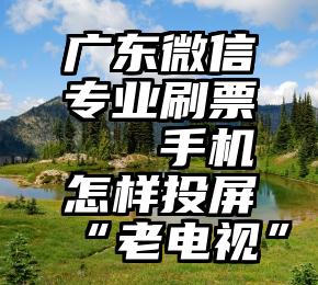 广东微信专业刷票   手机怎样投屏“老电视”