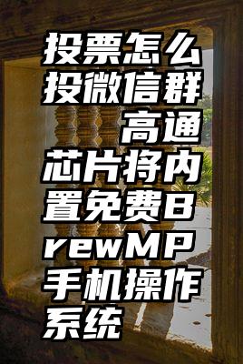 投票怎么投微信群   高通芯片将内置免费BrewMP手机操作系统