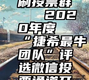 萍乡微信刷投票群   2020年度“捷希最牛团队”评选微信投票通道开放啦!