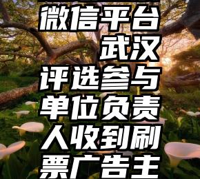 超级投票微信平台   武汉评选参与单位负责人收到刷票广告主办方回应