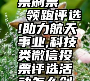 怎微信投票刷票   领跑评选!助力航天事业,科技类微信投票评选活动怎么创建