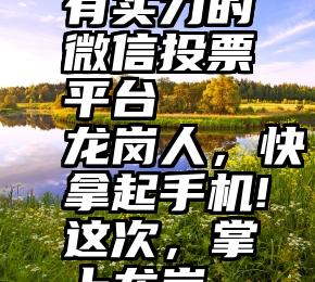 有实力的微信投票平台   龙岗人，快拿起手机!这次，掌上龙岗…