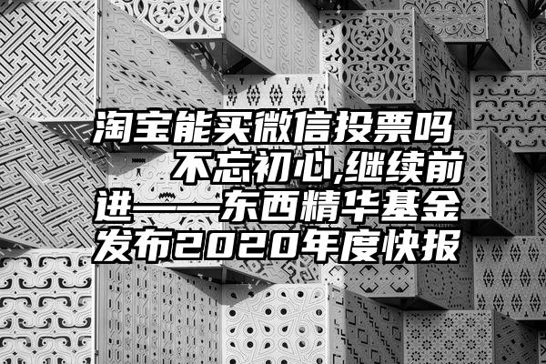 淘宝能买微信投票吗   不忘初心,继续前进——东西精华基金发布2020年度快报