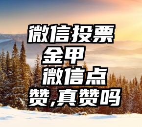 微信投票 金甲   微信点赞,真赞吗