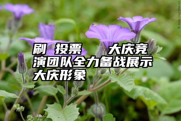 刷 投票   大庆竞演团队全力备战展示大庆形象