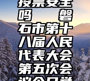 坦诚微信投票安全吗   磐石市第十八届人民代表大会第五次会议今日举行