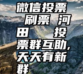 微信投票 刷票 河田   投票群互助,天天有新群