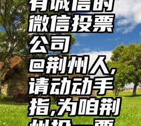 有诚信的微信投票公司   @荆州人,请动动手指,为咱荆州投一票