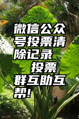 微信公众号投票清除记录   投票群互助互帮!