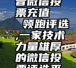 中国好声音微信投票充值   领跑评选,一家技术力量雄厚的微信投票评选平台