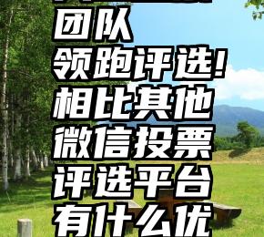 人工投票团队   领跑评选!相比其他微信投票评选平台有什么优势