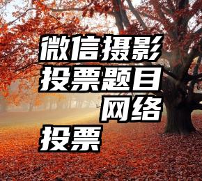 微信摄影投票题目   网络投票