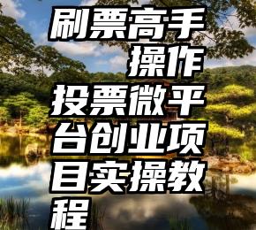 刷票高手   操作投票微平台创业项目实操教程