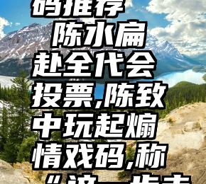 官网 二维码推荐   陈水扁赴全代会投票,陈致中玩起煽情戏码,称“这一步走了12年”