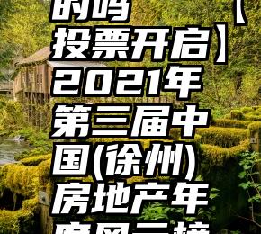 淘宝有卖微信投票的吗   【投票开启】2021年第三届中国(徐州)房地产年度风云榜网络票选启...