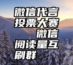 微信代言投票大赛   微信阅读量互刷群