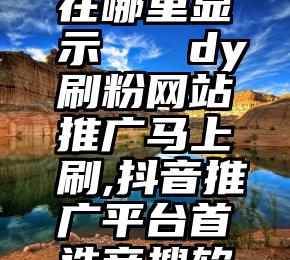 微信投票在哪里显示   dy刷粉网站推广马上刷,抖音推广平台首选帝搜软件a