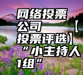 网络投票公司   【投票评选】“小主持人1组”