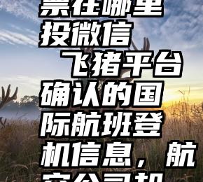 给明星投票在哪里投微信   飞猪平台确认的国际航班登机信息，航空公司却“不认账”