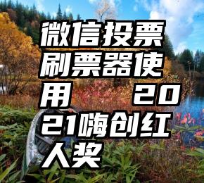 微信投票刷票器使用   2021嗨创红人奖