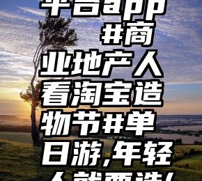 人工投票平台app   #商业地产人看淘宝造物节#单日游,年轻人就要造(多图杀猫)
