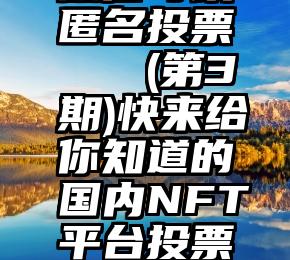 微信可以匿名投票   (第3期)快来给你知道的国内NFT平台投票吧!