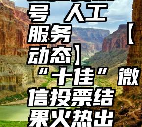 微信公众号 人工服务   【动态】“十佳”微信投票结果火热出炉!