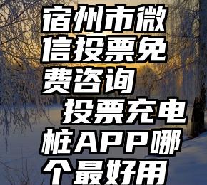 宿州市微信投票免费咨询   投票充电桩APP哪个最好用