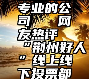 微信刷票专业的公司   网友热评“荆州好人”线上线下投票都超级火爆