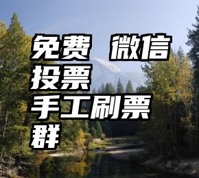 免费 微信投票   手工刷票群