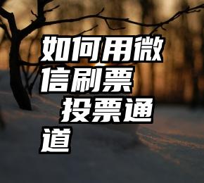 如何用微信刷票   投票通道