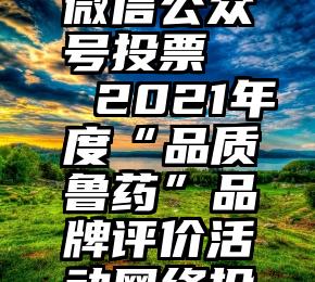 最美陕西微信公众号投票   2021年度“品质鲁药”品牌评价活动网络投票开始了!