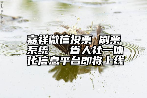 嘉祥微信投票 刷票系统   省人社一体化信息平台即将上线