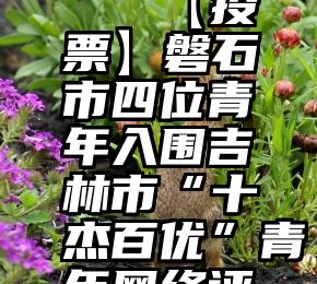 投票机刷   【投票】磐石市四位青年入围吉林市“十杰百优”青年网络评选!