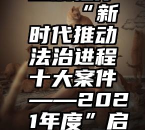 微信群内投票程序   “新时代推动法治进程十大案件——2021年度”启动网络投票