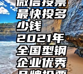 微信投票最快投多少钱   2021年全国型钢企业优秀品牌投票