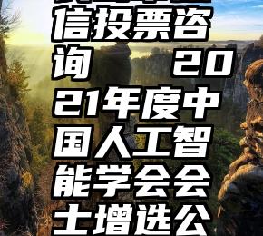 长葛市微信投票咨询   2021年度中国人工智能学会会士增选公示