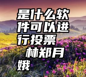 是什么软件可以进行投票   林郑月娥