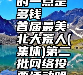 微信投票的一点是多钱   首届最美北大荒人(集体)第二批网络投票活动明日开始!