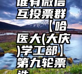 谁有微信互投票群   【哈医大(大庆)学工部】第九轮票选