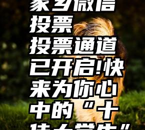 青海最美家乡微信投票   投票通道已开启!快来为你心中的“十佳大学生”助力!