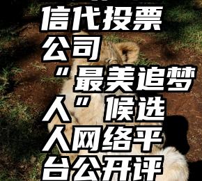 连云港微信代投票公司   “最美追梦人”候选人网络平台公开评选活动