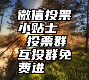 微信投票小贴士   投票群互投群免费进