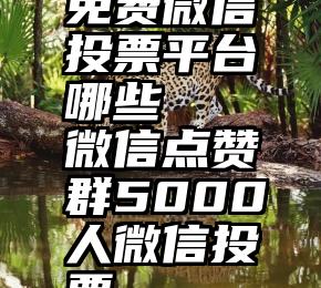 免费微信投票平台哪些   微信点赞群5000人微信投票