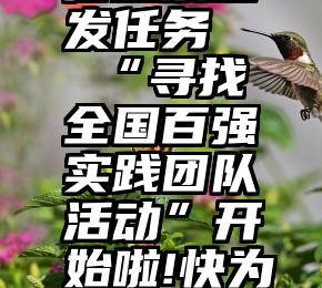 怎么在微信投票上发任务   “寻找全国百强实践团队活动”开始啦!快为你喜欢的团队投票