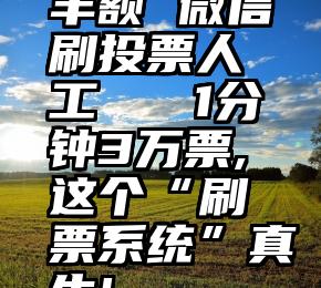 丰额 微信刷投票人工   1分钟3万票,这个“刷票系统”真牛!