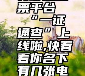 有哪些投票平台   “一证通查”上线啦,快看看你名下有几张电话卡!