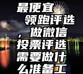 微信投票最便宜   领跑评选，做微信投票评选需要做什么准备工作