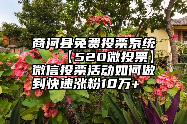 商河县免费投票系统   【520微投票】微信投票活动如何做到快速涨粉10万+